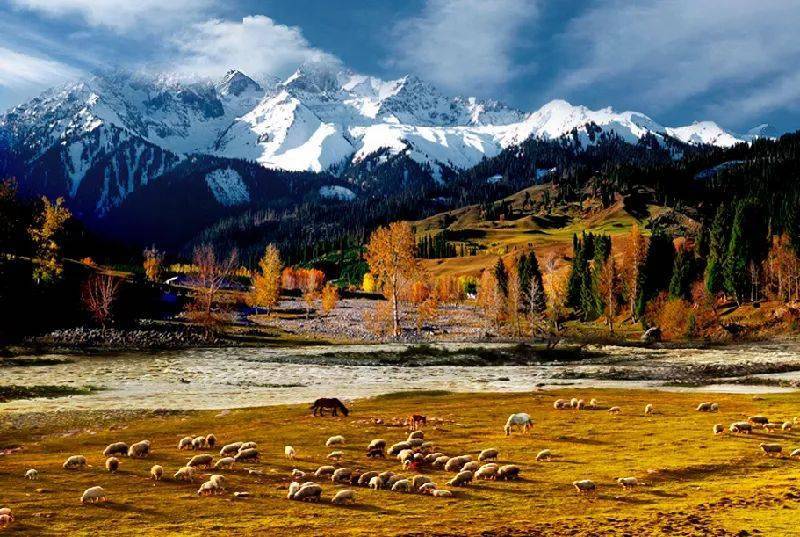 新疆深巷里的秘密花园，探访一家隐秘特色小店